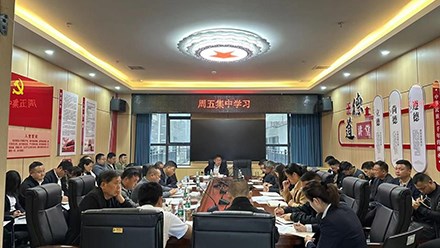 傳達學(xué)習習近平在廣東考察時(shí)重要講話(huà)精神